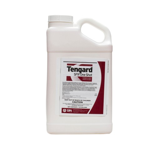 Tengard sfr one shot - sfr,