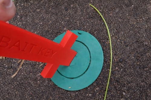 Termite bait station key - termite,